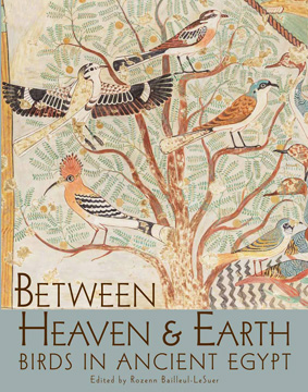 Pdf: Between Heaven and Earth: Birds in Ancient Egypt