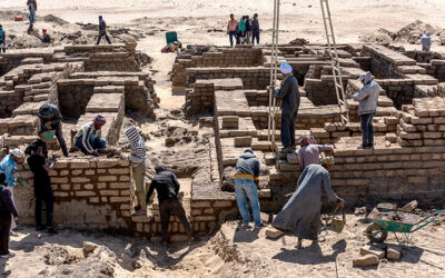 Actualización de la página del Abydos South Project