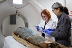 Análisis mediante escáner de las momias de Nes-Min y Nes-Hor