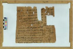 Artículo - A Chief Draughtsman’s Private Business Accounts. P. Turin Provv. 6252