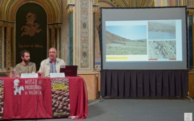 Audio y video de la conferencia Las piedras del desierto. Gestión de los recursos líticos en el Wadi Hatasun