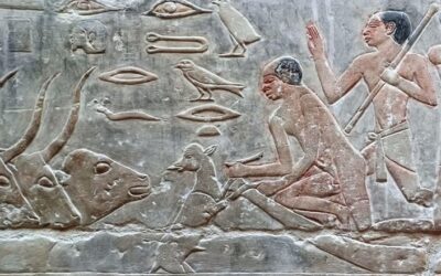 CURSO DE EGIPTOLOGÍA 2026-2027 – El universo animal en el antiguo Egipto: de lo sagrado a lo cotidiano