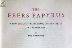 Consulta en línea - The Ebers Papyrus