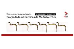 Demostración en directo -  Propiedades dinámicas de Medu Netcher