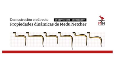 Demostración en directo –  Propiedades dinámicas de Medu Netcher
