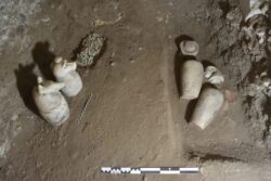 Descubren la “Casa de la Vida” en el Ramesseum de Luxor, llena de restos de dibujos y juegos escolares
