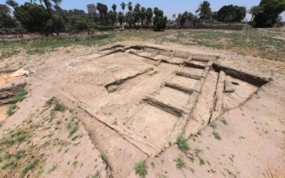 Descubren los restos de un complejo residencial y una posible prensa de vino en la zona del templo de Sejmet, en Menfis