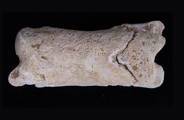 Descubren un silbato egipcio de 3.300 años posiblemente usado por un policía de la tumba real