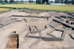 Descubrimiento arqueológico en Daqahlia