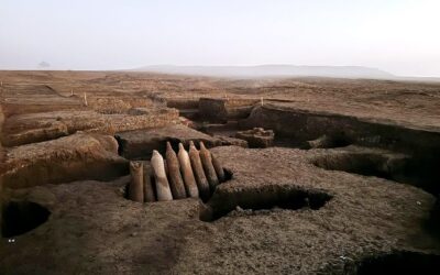 Descubrimiento de talleres industriales del Período Tardío y comienzos de la época ptolemaica