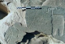 El arte rupestre del antiguo Egipto revela dos formas muy diferentes de relación entre los seres humanos y los animales