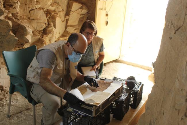 El software ‘Aracne’ da el salto a la arqueología para analizar los textiles de las momias en Egipto