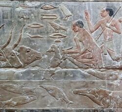 CURSO DE EGIPTOLOGÍA 2026-2027 - El universo animal en el antiguo Egipto: de lo sagrado a lo cotidiano