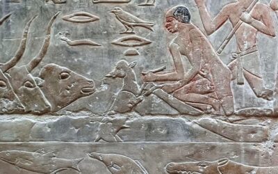 CURSO DE EGIPTOLOGÍA 2026-2027 – El universo animal en el antiguo Egipto: de lo sagrado a lo cotidiano
