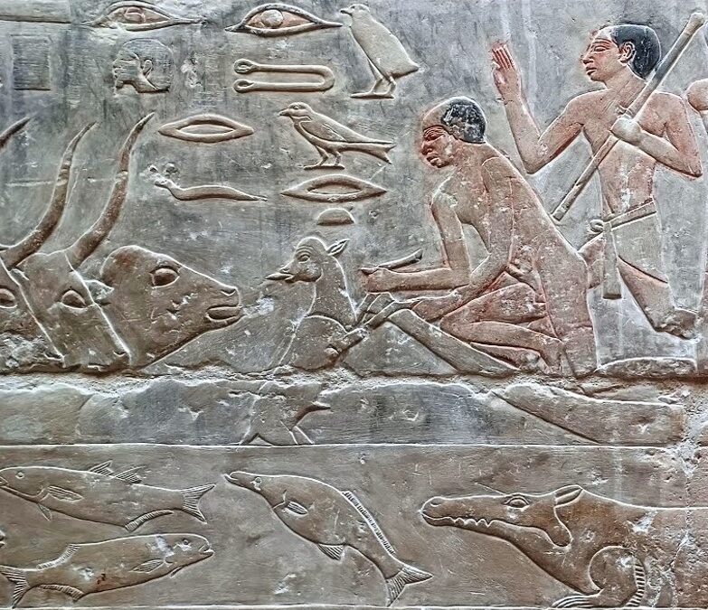 CURSO DE EGIPTOLOGÍA 2026-2027 – El universo animal en el antiguo Egipto: de lo sagrado a lo cotidiano