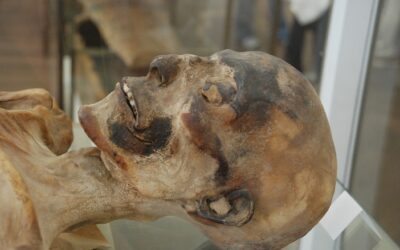 Hallan ADN de la peste negra en una momia egipcia de hace 3.300 años