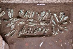 Importante descubrimiento de Tanis redefine los entierros del Tercer Periodo Intermedio