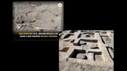 Nuevo descubrimiento en Tell el-Abqain