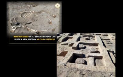 Nuevo descubrimiento en Tell el-Abqain