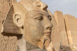 Reinstalada una cabeza de estatua de Ramsés II en Abidos
